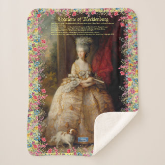 Cobertor Sherpa Sm-Sh (Rainha Charlotte C)SDCescartazes ©️ 2024