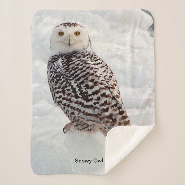Cobertor Sherpa Snowy Owl Sherpa Blanket (Frente)