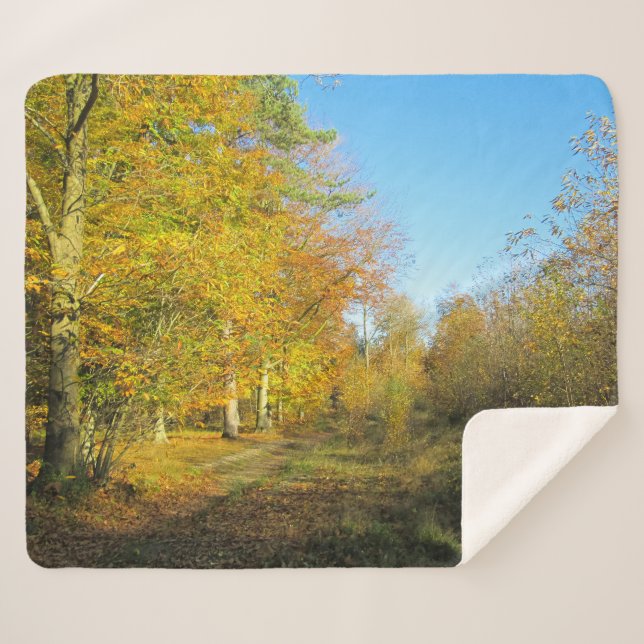 Cobertor Sherpa Sunny Autumn Walk - Personalizado (Frente (Horizontal))