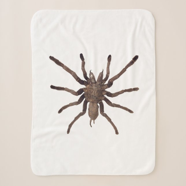 Cobertor Sherpa Tarantula Blanket (Frente)