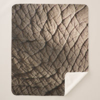 Textura De Pele De Elefante Real, Enrugada.