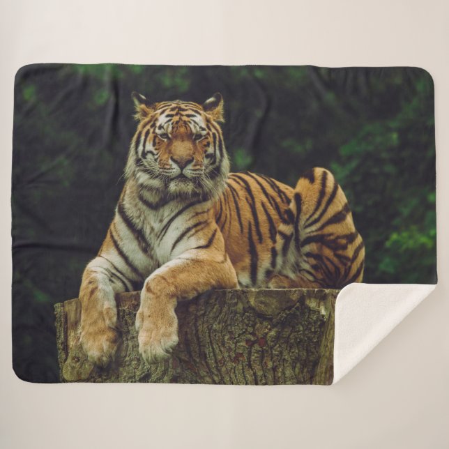 Cobertor Sherpa TIGER no REST (Frente (Horizontal))