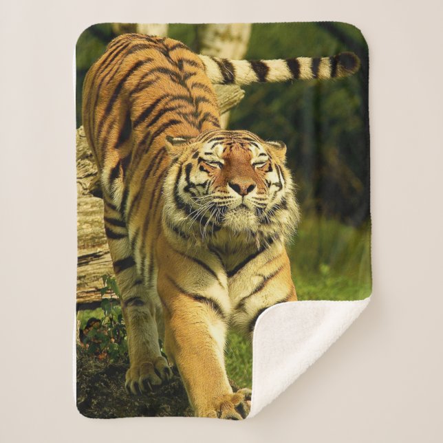 Cobertor Sherpa Tigre (Frente)