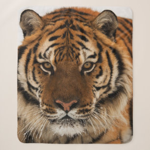Cobertor Sherpa Tiro de Cabeça do Tigre Siberiano
