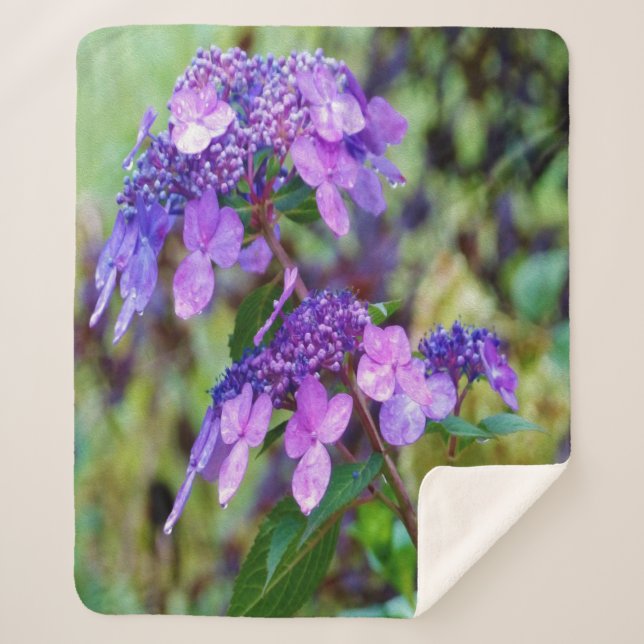 Cobertor Sherpa Torre Roxo e Flor de Hydrangea Shout (Frente)
