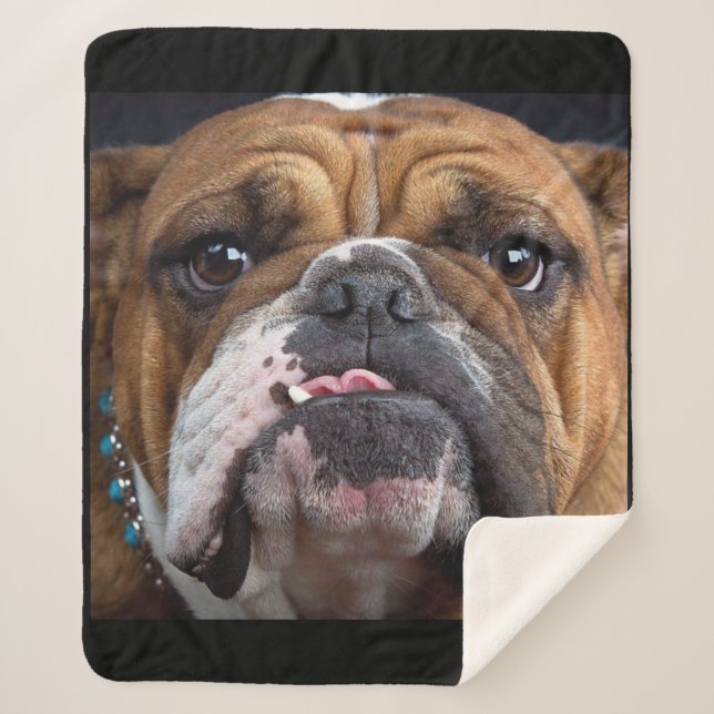 Cobertor Sherpa Travesseiro decorativo Inglês Bulldog (Frente)