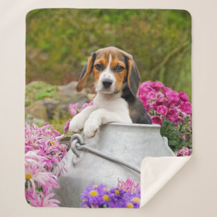 Cobertor Sherpa Tricolor Cão Trapaceiro Cachorro Papoila na Tagorn
