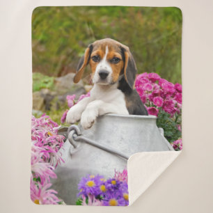 Cobertor Sherpa Tricolor Cão Trapaceiro Puppy Pet numa Torneira de