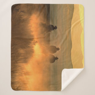 Cobertor Sherpa Trio Cowboy: Galope de Fundo Montanhoso.