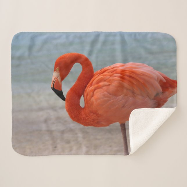 Cobertor Sherpa Tropical Beaches | Caribbean Flamingo, Aruba (Frente (Horizontal))