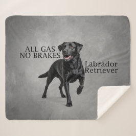 Cobertor Sherpa Tudo Gasolina Sem Freios Black Lab