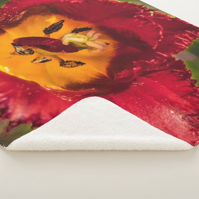 Cobertor Sherpa tulipa vermelha (3/4)