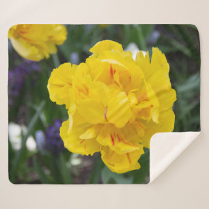 Cobertor Sherpa Tulipas amarelas bonitas no jardim