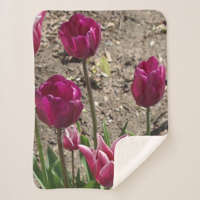 Cobertor Sherpa Tulipas roxas sherpa blankert (Frente)
