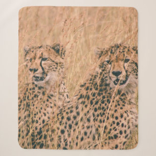 COBERTOR SHERPA TWO CHEETAH SITTING ON FIELD AT DAYTIME