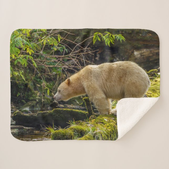 Cobertor Sherpa Urso Espírito Branco (Frente (Horizontal))