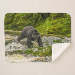 Cobertor Sherpa Urso Negro Pescando   Qua Creek Colúmbia Britânica