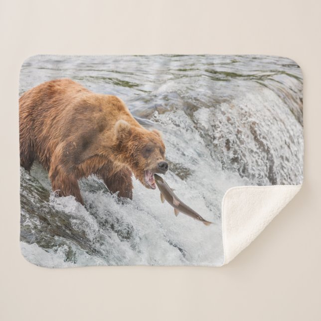 Cobertor Sherpa Urso Pardo Pega Salmão Vermelho (Frente (Horizontal))