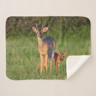 Cobertor Sherpa Veado branco Habitat pastoso