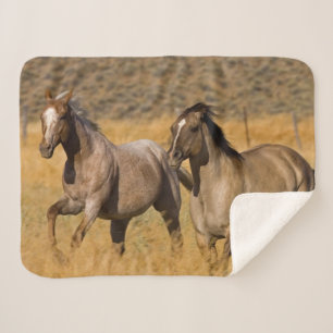 Cobertor Sherpa Vida no Rancho em The Ponderosa Ranch