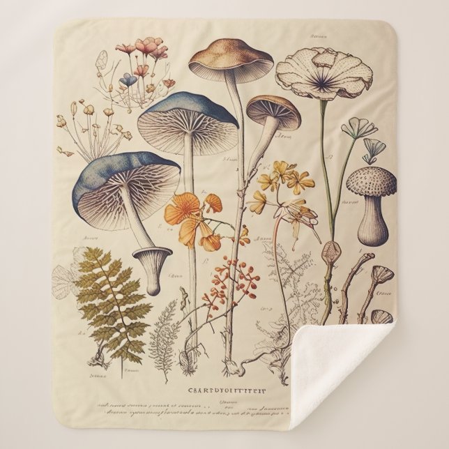 Cobertor Sherpa Vintage Mushroom Naturalist (Frente)