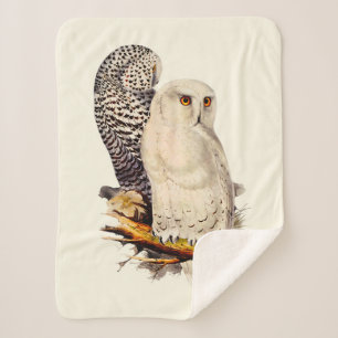 Cobertor Sherpa Vintage Snowy Owl Drawing