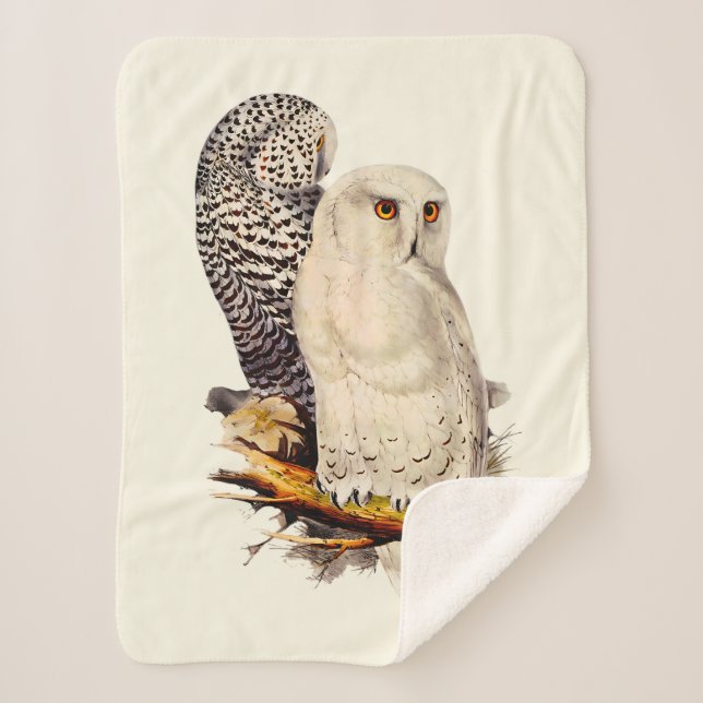 Cobertor Sherpa Vintage Snowy Owl Drawing (Frente)