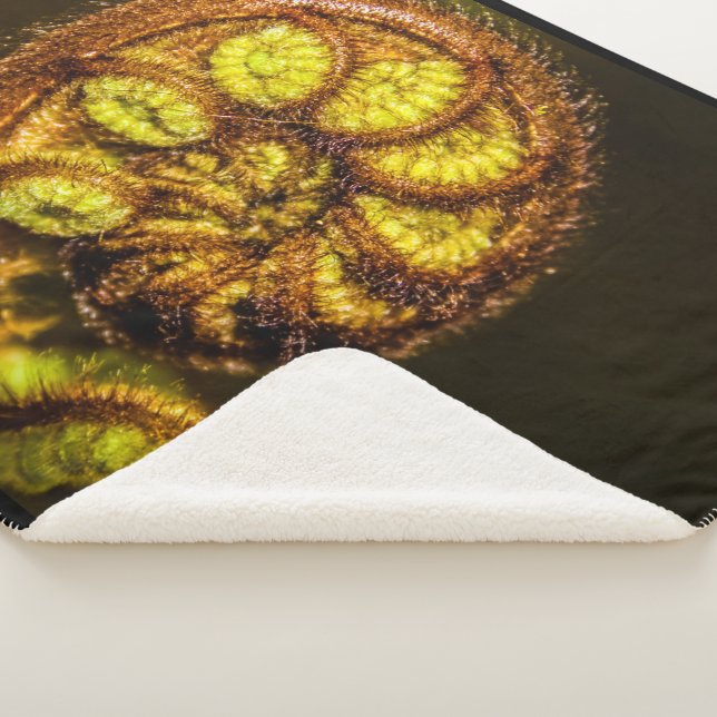 Cobertor Sherpa Young Fern Folaves (3/4)