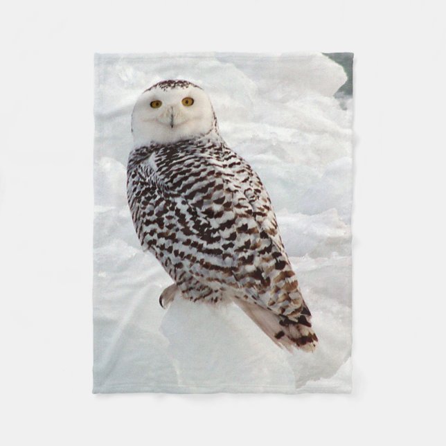 cobertor Snowy Owl (Frente)