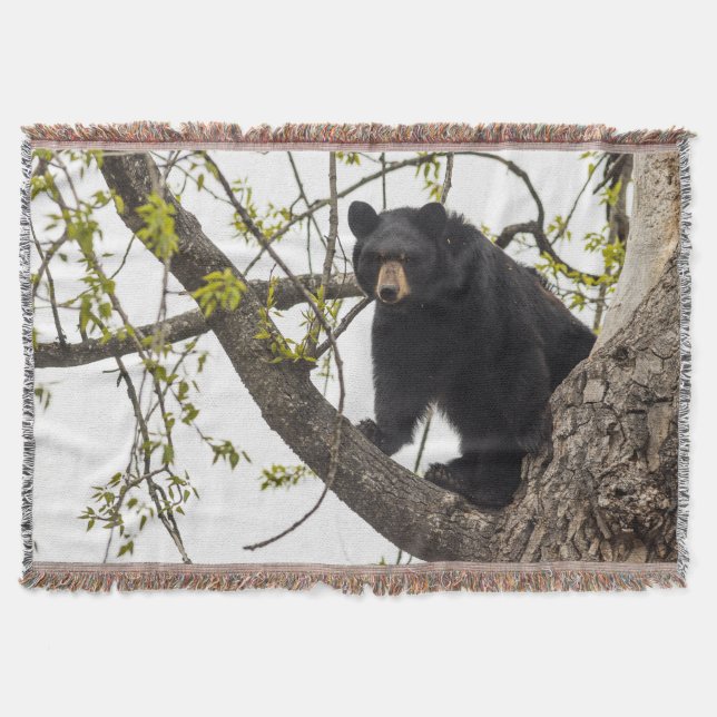 Cobertor Sobe Urso Negro (Frente)
