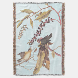 Cobertor Songbird Audubon Warbler Comedor de Vermes