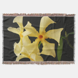 Cobertor Star Jasmine Flower tbcn