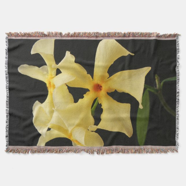 Cobertor Star Jasmine Flower tbcna (Frente)