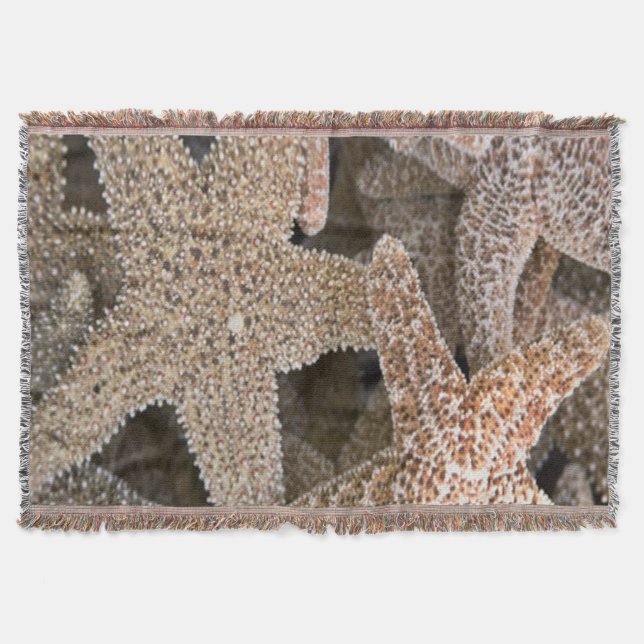 Cobertor Starfish por todo o mundo (Frente)