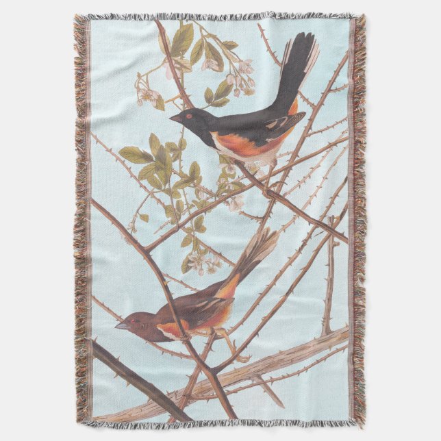 Cobertor Toweting Audubon Black and Orange Song Birds (Frente Vertical)