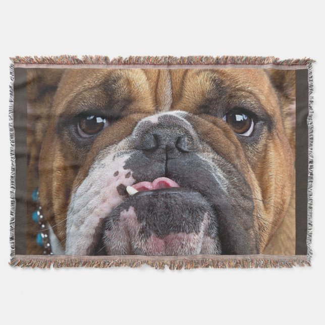 Cobertor Travesseiro Decorativo Bulldog Inglês (Frente)