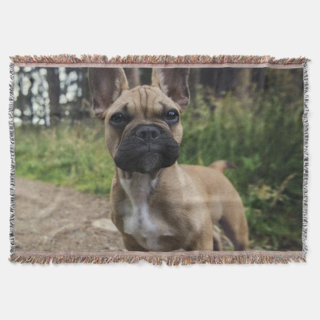 Cobertor Travesseiro do Bulldog Francês (Frente)