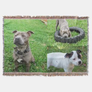 Cobertor Três "Staffordshire Bull Terriers", "Throw Blanket