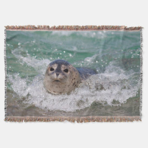 Cobertor Um filhote de foca surfando