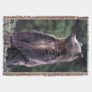 Cobertor Urso de urso ereto