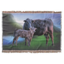 Vaca e Bezerro Black Angus