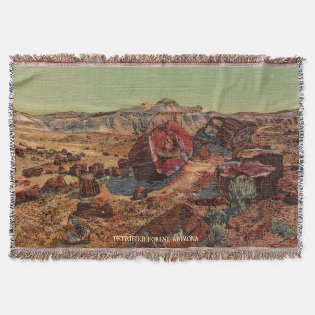 Cobertor Vintage Petrified Desert Throw Blanket (Frente)