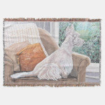 Westin Olhando uma janela