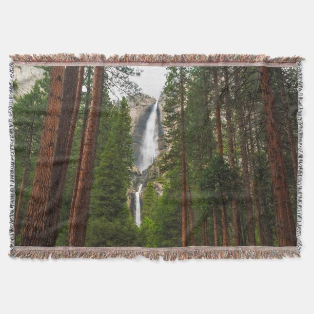 Cobertor Yosemite Falls através da Floresta (Frente)