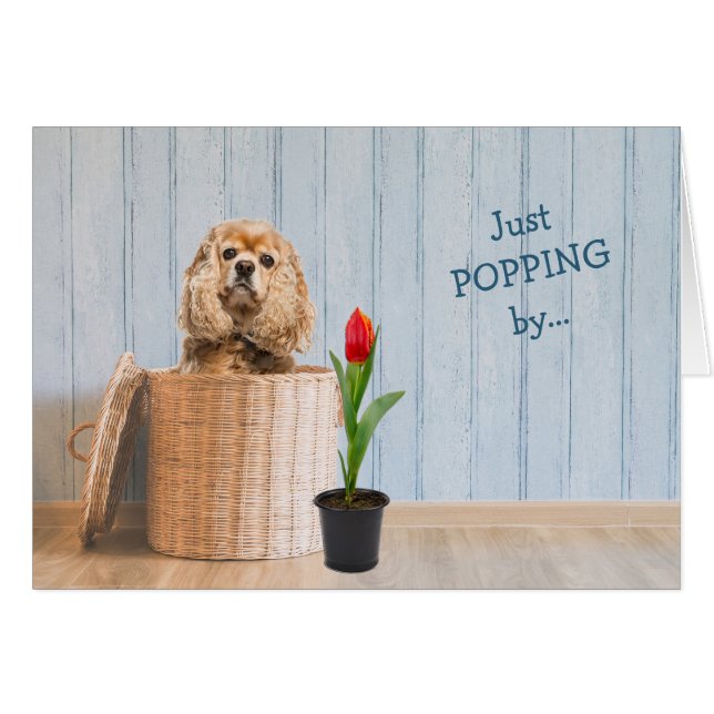 Cobiel de Cocker com cartão de aniversário de Wick (Frente Horizontal)