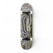 Cobra 7¾" skateboard