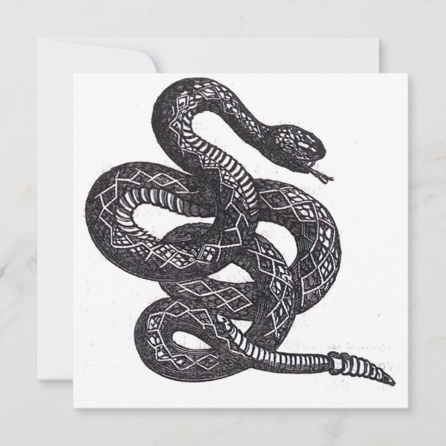 Cobra Crotalus Cascavella (Víbora Venenosa) (Frente)