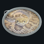 Cobra do chocalho da pradaria<br><div class="desc">Fivela de cinto do oval da foto da cara do cascavel de pradaria</div>