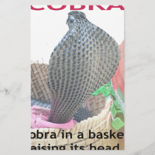 Cobra em uma cesta pronta para cuspir fogo
