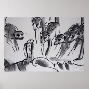 Cobra mobbing de Meerkats - impressão da arte